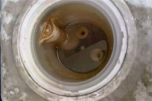 飲水機(jī)不清洗